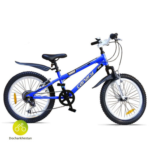 دوچرخه بچه گانه قناری مدل فری استایل تاندر رنگ آبی